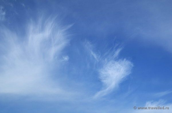 �������. �������� ���