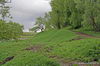     ( 2009)